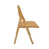 Windsor Folding Chair (2-Pc)
